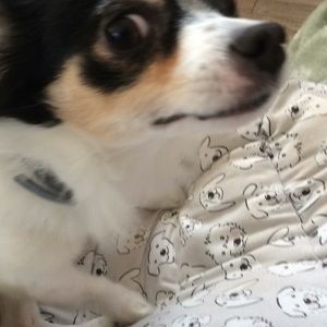 Meet your Posher, Joaquin